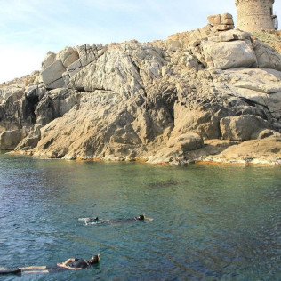 Snorkeling et Randonnée Palmée à Punta Locca (Cargèse, Corse-du-Sud - 20)