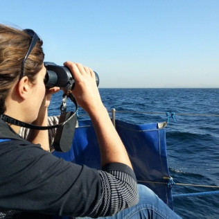 Sortie en Bateau la Matinée (La Rochelle, Charente-Maritime- 17)