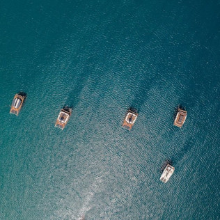Sortie en Catamaran en Matinée (Var / Alpes-Maritimes / Bouches-du-Rhône)