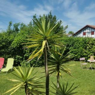 Séjour en Chambre d'Hôtes avec Petit Déjeuner et Spa Privatif à la Bulle d'Eden (Bayonne, Nouvelle-Aquitaine - 64)