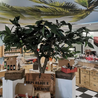 Spa Privatif avec Sauna et Jacuzzi Nordique pour deux au Spa Alliance Cacao (Bessines, Deux-Sèvres - 79)