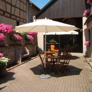 Expérience Gourmande Accords Mets et Vins et Visite de Cave en Alsace (Saint-Hippolyte, Haut-Rhin - 68)