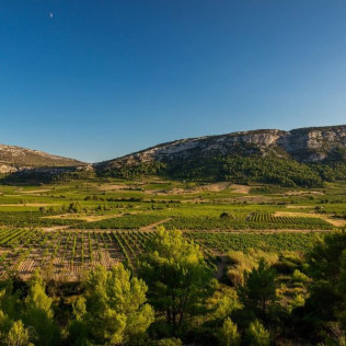 Visite de Vignobles, Dégustation de Vins et Assiette Gourmande (Vingrau, Pyrénées-Orientales - 66)
