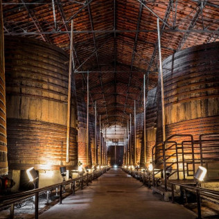 Visite Vigneronne et Gourmande avec Dégustation pour deux aux Terres des Templiers (Banyuls-sur-Mer - 66)