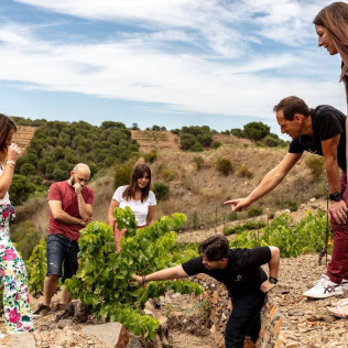 Visite Vigneronne et Gourmande avec Dégustation pour deux aux Terres des Templiers (Banyuls-sur-Mer - 66)