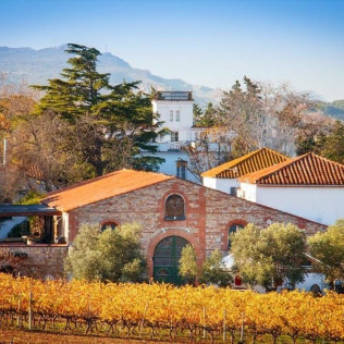 Baptême du Vigneron: Dégustation de Vins en Duo au Domaine de Rombeau (Rivesaltes, Occitanie - 66)