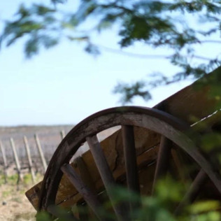 Baptême du Vigneron: Dégustation de Vins en Duo au Domaine de Rombeau (Rivesaltes, Occitanie - 66)