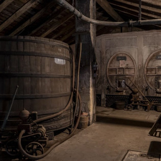 Visite et Dégustation de la gamme de Vins du Château Nodot (Saint-Christoly-de-Blaye, Gironde - 33)