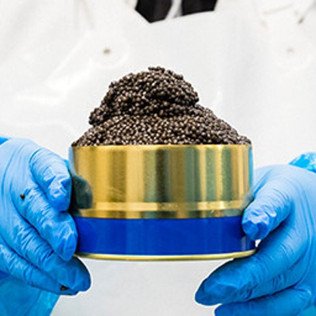 Immersion dans l'Atelier de Fabrication de Caviar avec Dégustation (Neuvic, Dordogne - 24)