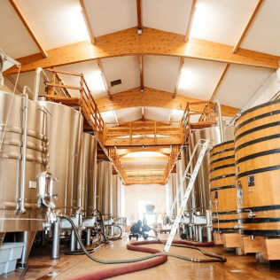 Visite avec Dégustation de 3 Vins et Pique-nique en Duo aux Vignobles Chatonnet (Néac, Gironde - 33)
