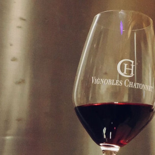 Visite avec Dégustation de 3 Vins et Pique-nique en Duo aux Vignobles Chatonnet (Néac, Gironde - 33)