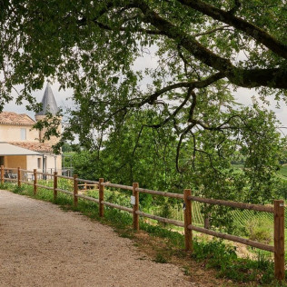 Visite Nature et Terroir, Dégustation de Vins au Château La Croizille (Saint-Émilion, Gironde- 33)