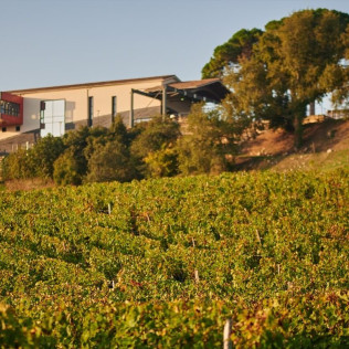 Visite Nature et Terroir, Dégustation de Vins au Château La Croizille (Saint-Émilion, Gironde- 33)