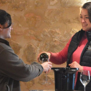 Visite d’un Vignoble Familial Biologique près de Bordeaux avec Dégustation (Yvrac, Gironde- 33)
