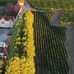 Visite d’un Vignoble Familial Biologique près de Bordeaux avec Dégustation (Yvrac, Gironde- 33)