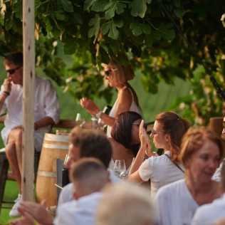 Visite de Vignoble et Pique-nique pour deux au Château La Croizille (Saint-Émilion, Gironde - 33)