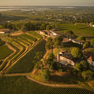 Visite de Vignoble et Dégustation Découverte au Château La Croizille (Saint-Émilion, Gironde- 33)