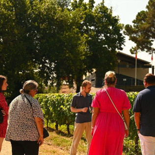 Visite de Vignoble et Dégustation Découverte au Château La Croizille (Saint-Émilion, Gironde- 33)