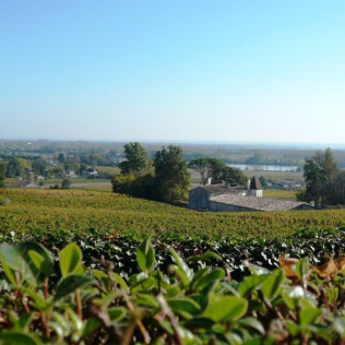 Entrée à la Cité du Vin et Dégustation de Vin au Château Belloy pour deux (Saint-Michel-de-Fronsac, Gironde - 33)