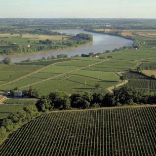 Entrée à la Cité du Vin et Dégustation de Vin au Château Belloy pour deux (Saint-Michel-de-Fronsac, Gironde - 33)