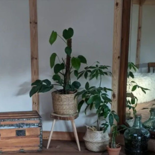 Séjour Insolite : 2 Nuits dans une Cabane-Yourte à La Mauvaise Herbe (Barjols, Var - 83)