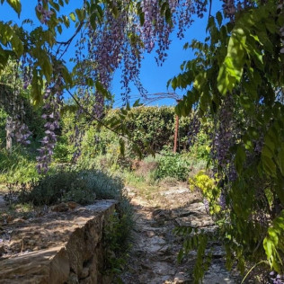 Séjour Insolite : 2 Nuits dans une Cabane-Yourte à La Mauvaise Herbe (Barjols, Var - 83)