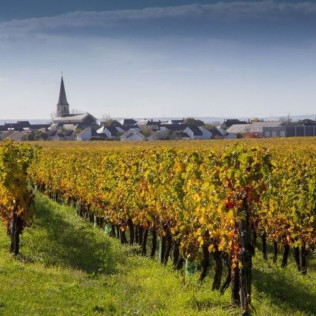 Visite de l'Abbaye Royale de Bourgueil avec Dégustation pour deux (Bourgueil, Indre-et-Loire - 37)