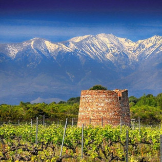 Atelier Œnologique avec Dégustation de Vins en Duo au Domaine de Rombeau (Rivesaltes, Occitanie - 66)