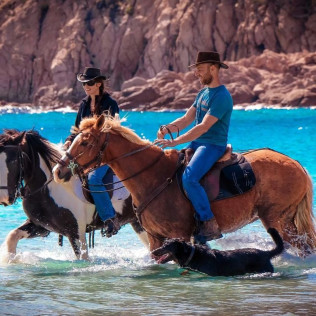 Baignade à Cheval pour Débutants (Cupabia, Corse-du-Sud - 20)