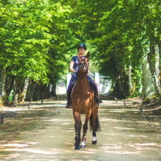 Balade à Cheval entre les Vignes Prieuré Marquet (Saint-Martin-du-Bois, Gironde - 33)