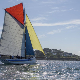 Sortie en Mer et Balade en Bateau dans le Golfe du Morbihan (Arzon, Morbihan - 56)