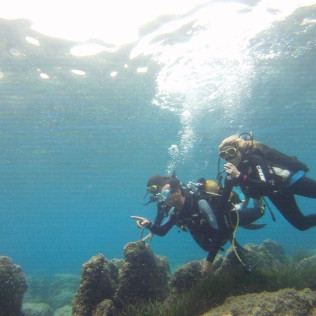 Baptême de Plongée dans la baie de Villefranche (Nice, Alpes-Maritimes- 06)