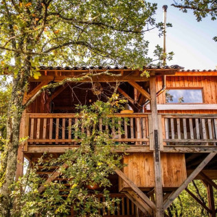 Séjour en Logement Insolite : Nuit en Cabane dans les Arbres avec Petit-déjeuner et Spa Privatif au domaine Cœur de Bull (Occitanie - 81)