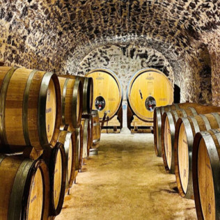 Visite de la Cave avec Dégustation de Champagne au Domaine Harlin (Mareuil-le-Port, Marne - 51)