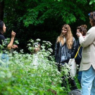 Balade Les Plantes Sauvages de La Coulée Verte (Paris, Île-de-France - 75)