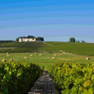 Cours d’Œnologie avec Dégustation de Vins de Bordeaux en Duo dans un Château (Cadaujac, Gironde- 33)