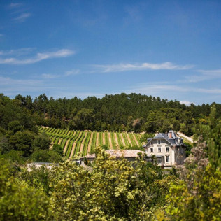Visite Œnotouristique et Visite du Terroir avec Dégustation pour deux (Saint-Polycarpe, Aude - 11)