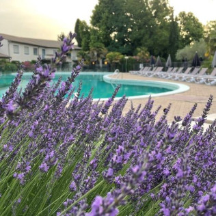 Forfait Spa avec Bain Hydromassant et Déjeuner pour deux à L'hôtel Les Oliviers (Loriol-sur-Drôme, Drôme - 26)