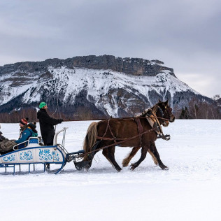 Balade en Traîneau à Cheval Privatisé Grand Nord (La Féclaz, Savoie - 73)