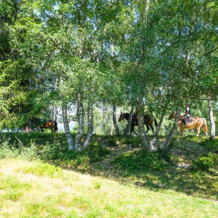 Balade à Cheval dans les Alpes (La Féclaz, Savoie - 73)