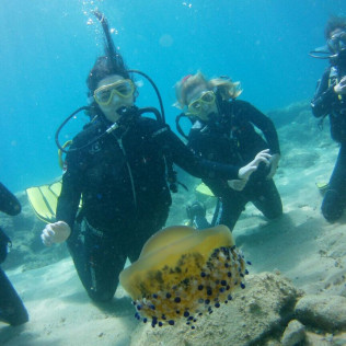 Baptême de Plongée Sous-Marine en Mer (Tossa de Mar, Gérone)