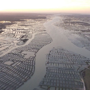Vol sur la Côte Sauvage en ULM (Saint-Sulpice-de-Royan, Nouvelle-Aquitaine)