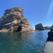 Excursion "Espagnole" en Bateau (Saint-Jean-de-Luz, Pyrénées-Atlantiques - 64)